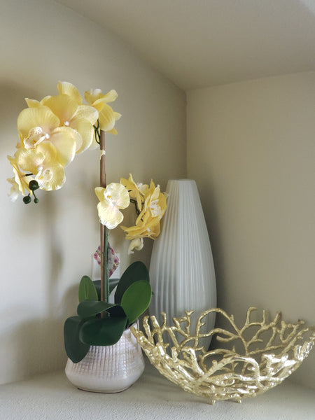 yellow 2 stem orchid with black vase 20 inches - direct sale