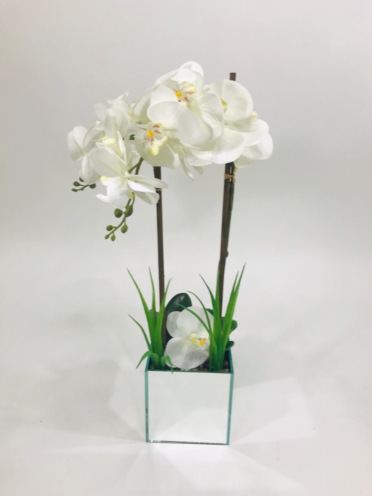 ivory 2 stem orchid with mirrored vase 19 inches