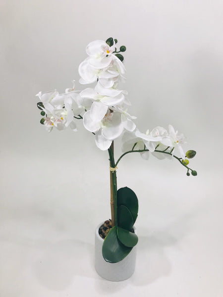 white 3 stem orchid with white vase 18 inches