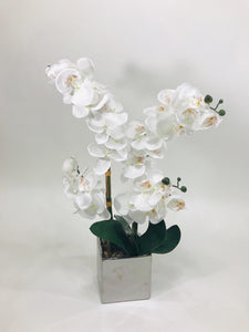 white 4 stem orchid with silver vase 23 inches