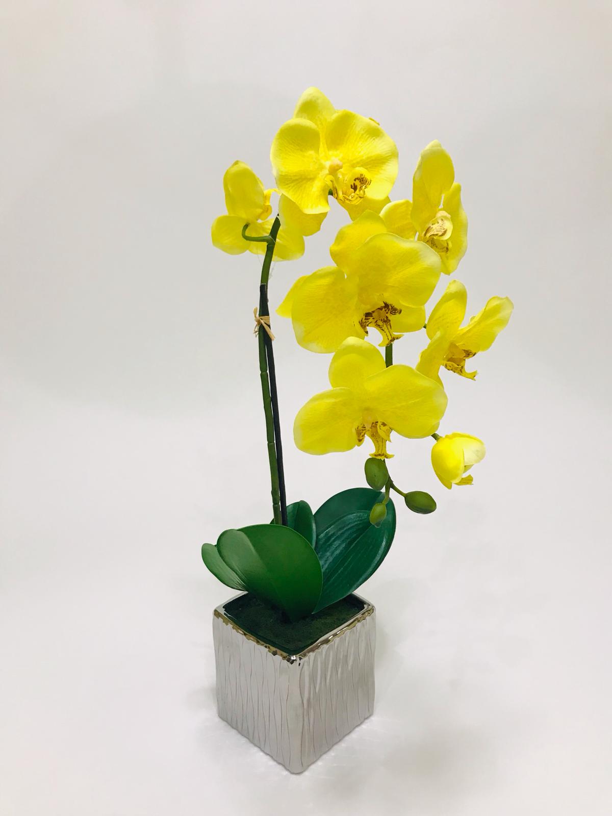 Yellow single stem orchid with silver vase 18 inches